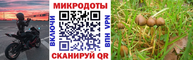 Псилоцибиновые грибы Cubensis  Белый 